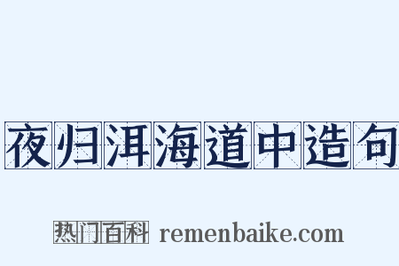 夜归洱海道中造句是什么意思的图片
